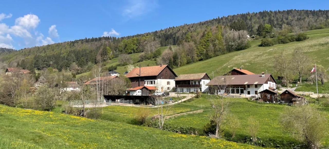 Miramont Horse Trekking Hostel Saicourt Экстерьер фото